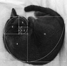 cgit logo